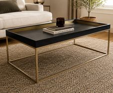Alyn Coffee Table