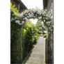 Nature Garden Arch Metal 229x38x113 cm Black Image 3