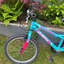Avery 20" Child's Bike Image 5