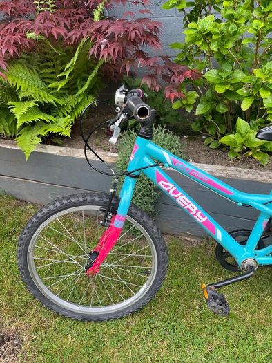 Avery 20" Child's Bike
