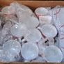 24 piece Retro tea set red and white Image 2