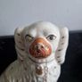 mantle dog Image 3