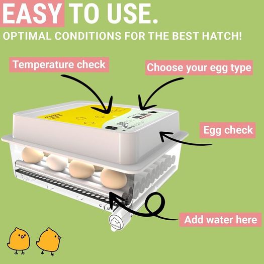36 Egg Incubators for Hatching Eggs  Incubator for 36 eggs with automatic egg turner:READY FOR COLLECTION
