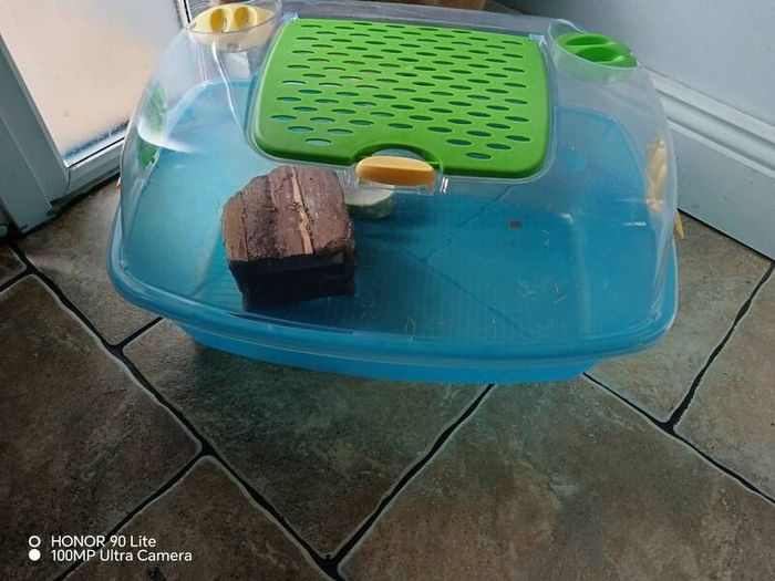 hamster cage