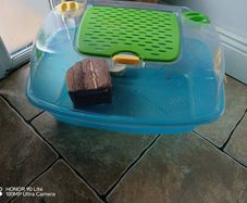 hamster cage