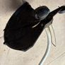 Grass Trimmer Image 4