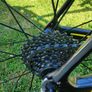 Boardman  C7 Image 2