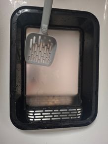cat litter tray