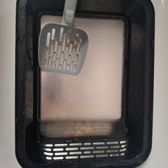 cat litter tray