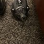 logitech steering wheel + gear stick Image 5