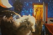 Fall Out Boy - Infinity On High.