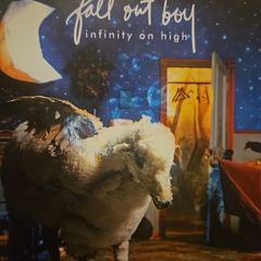 Fall Out Boy - Infinity On High.