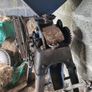 corn&oat roller/crusher Image 3