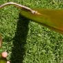 Vintage Brass Picture Light Lamp Image 2