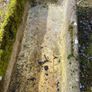 Large Trough Image 7