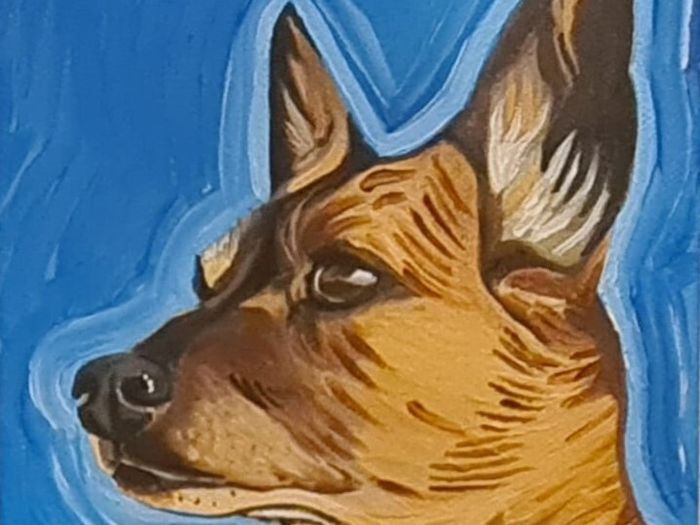 Pet Portraits