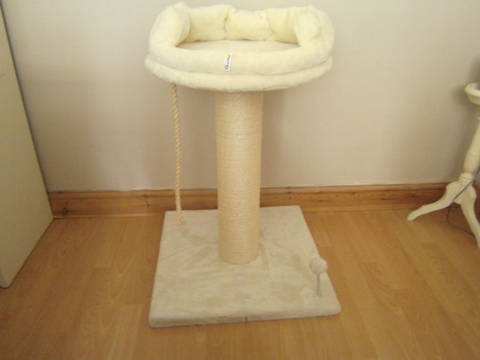 cat hut