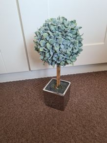 Frosted Faux Eucalyptus Plant
