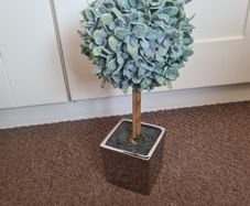 Frosted Faux Eucalyptus Plant