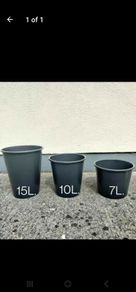 plant pots