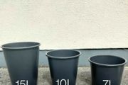 plant pots