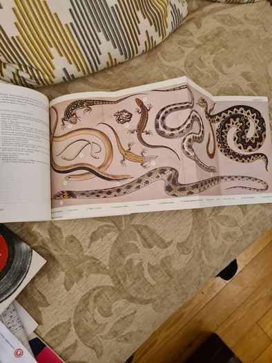 In Search Of Heathland By  Lee Chadwick.
