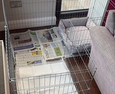 Animal Play Pen