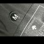 Canada goose Image 2