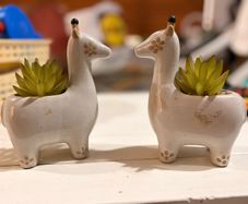 decoration