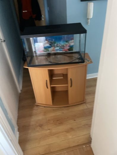 fish