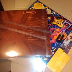 25 x BLAKE SLEEVES! 12 Inch LP Album & Single Vinyl Record Covers Crystal CLEAR plastic Outer sleeves - WITH FLAP SEAL