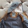 Next Boys gilet Image 3