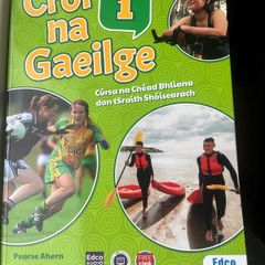 Croi na gaeilge 1 JC Irish book