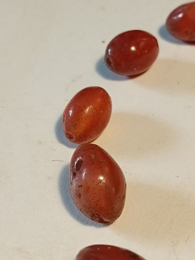 25 1900BC Carnelian Ancient Egypt Beads(With COA)