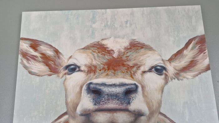 Cow Canvas Picture