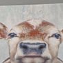 Cow Canvas Picture Image 4