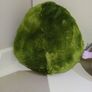 Soft Toy Image 5