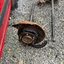 Shafts off 2006 Toyota landcruiser Image 2