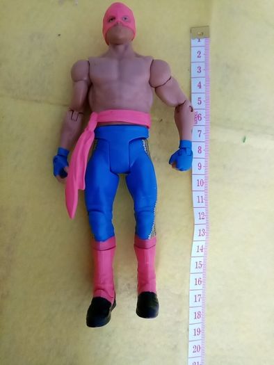 WWE Wrestlers Wrestler action Figure