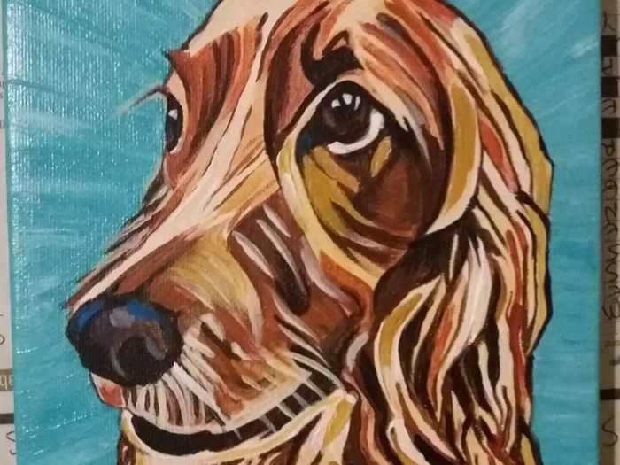 Pet Portraits