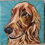 Pet Portraits Image 3