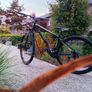 Kross Hexagon 6.0 (hardtail MTB) Image 10