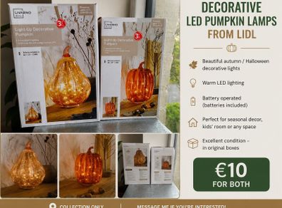 Decorative LED pumpkin lamps