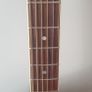 Richwood Electric Acoustic Image 5