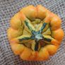 Decorative Pumpkin Seeds Image 4