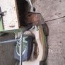 Lawnmower Image 2