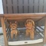 Dog House/Bed Image 2