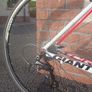 Giant TCR Image 3