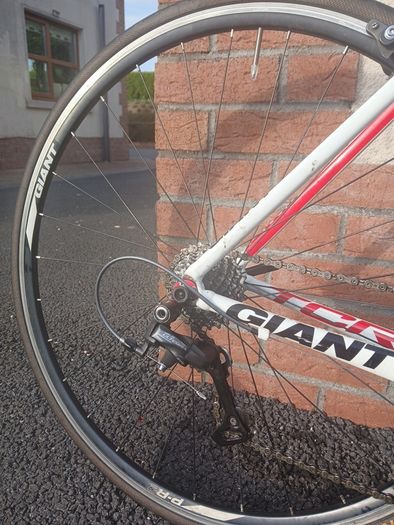 Giant TCR