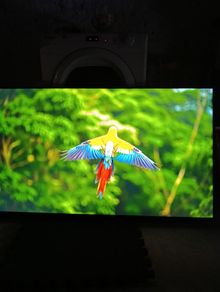55"lg Smart Tv 4k